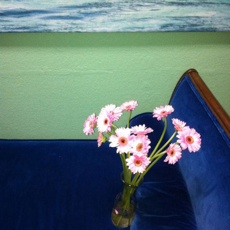 Searching for my identity