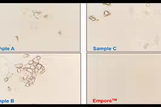 Less Fine Particles with frame.avif