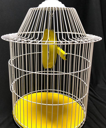 WhatsApp Image 2025-12-11 at 1.06.41 AM (1).jpeg