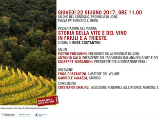 L'archeologia della vite alla base dei buoni vini friulani