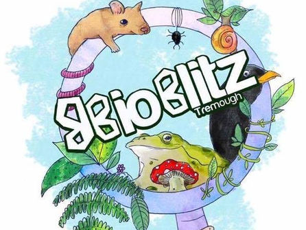 BioBlitz Tremough