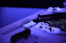 Scenography
