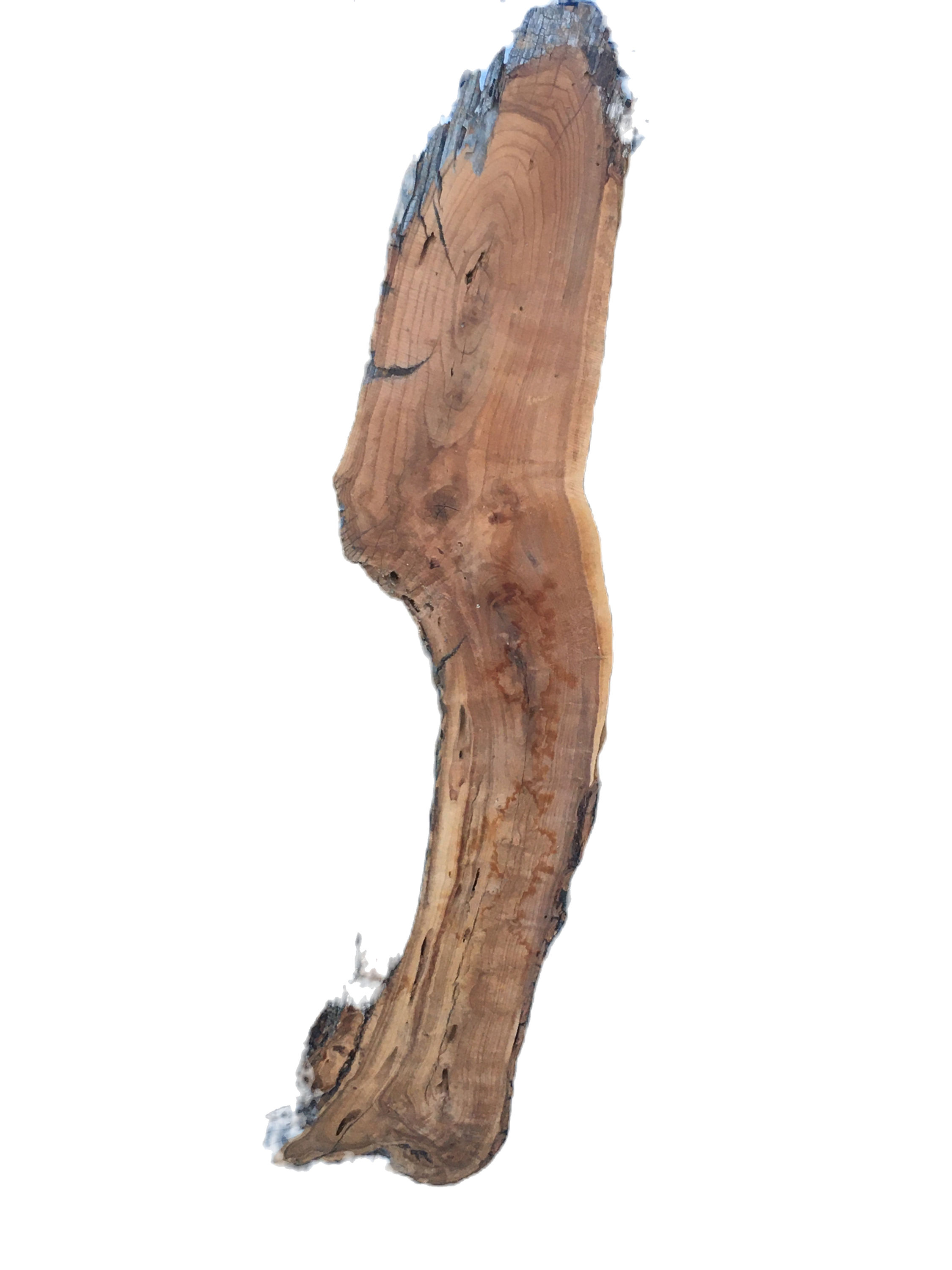 A17 "6x45"x .75" Funky Apricot