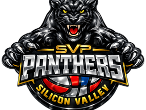 Why You Should Root for the Silicon Valley Panthers
