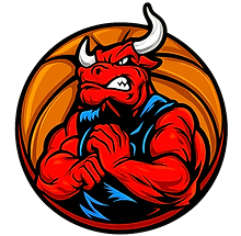 Antelope Valley Bulls without text