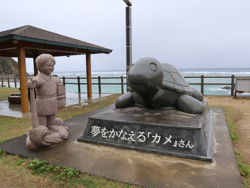 Dream-fulfilling Turtle