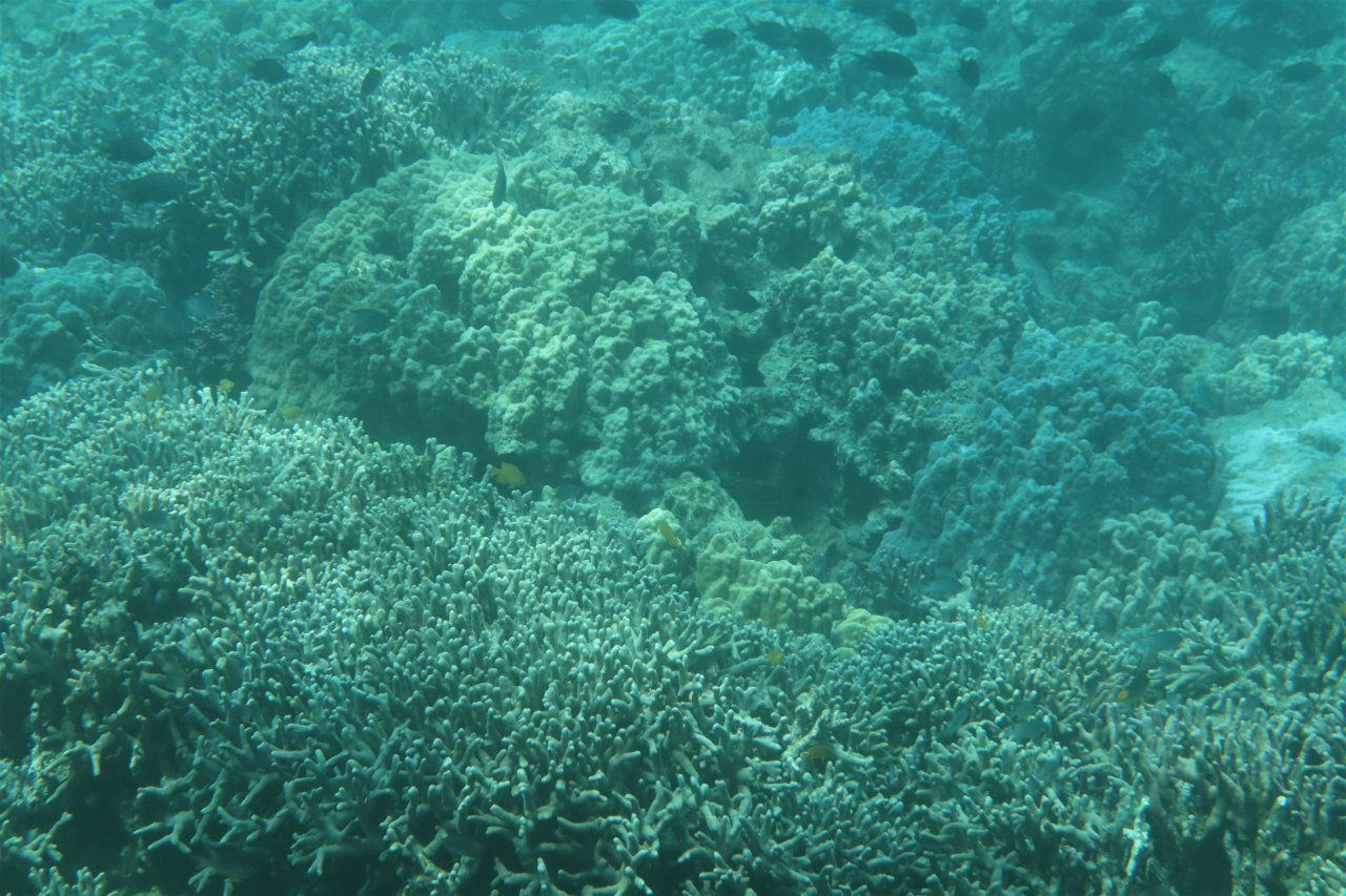 海中探索船せと