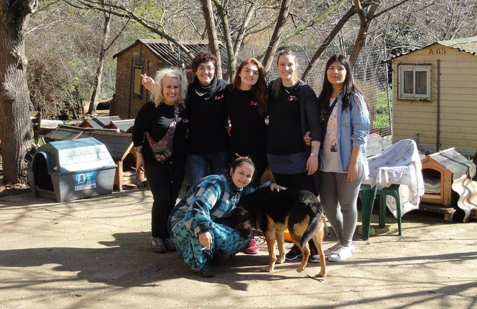 G voluntarios (2)