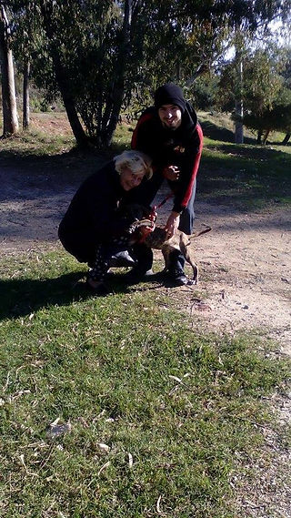 Adopción de Logan (2)