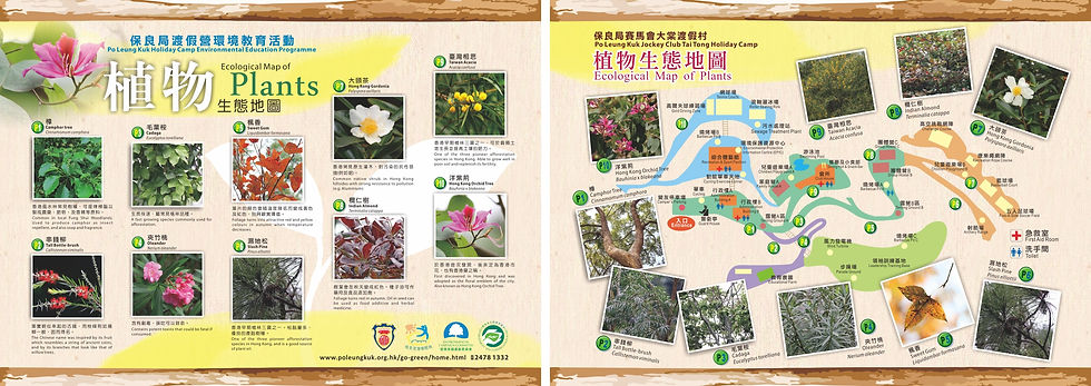 單張 Leaflet