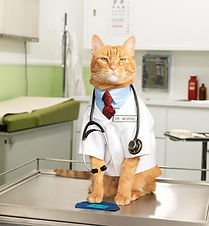 dr-morris-image.jpg