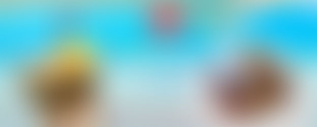 6月のキャンペーンスタート!