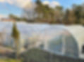 Greenhouse Films (6)_edited.jpg