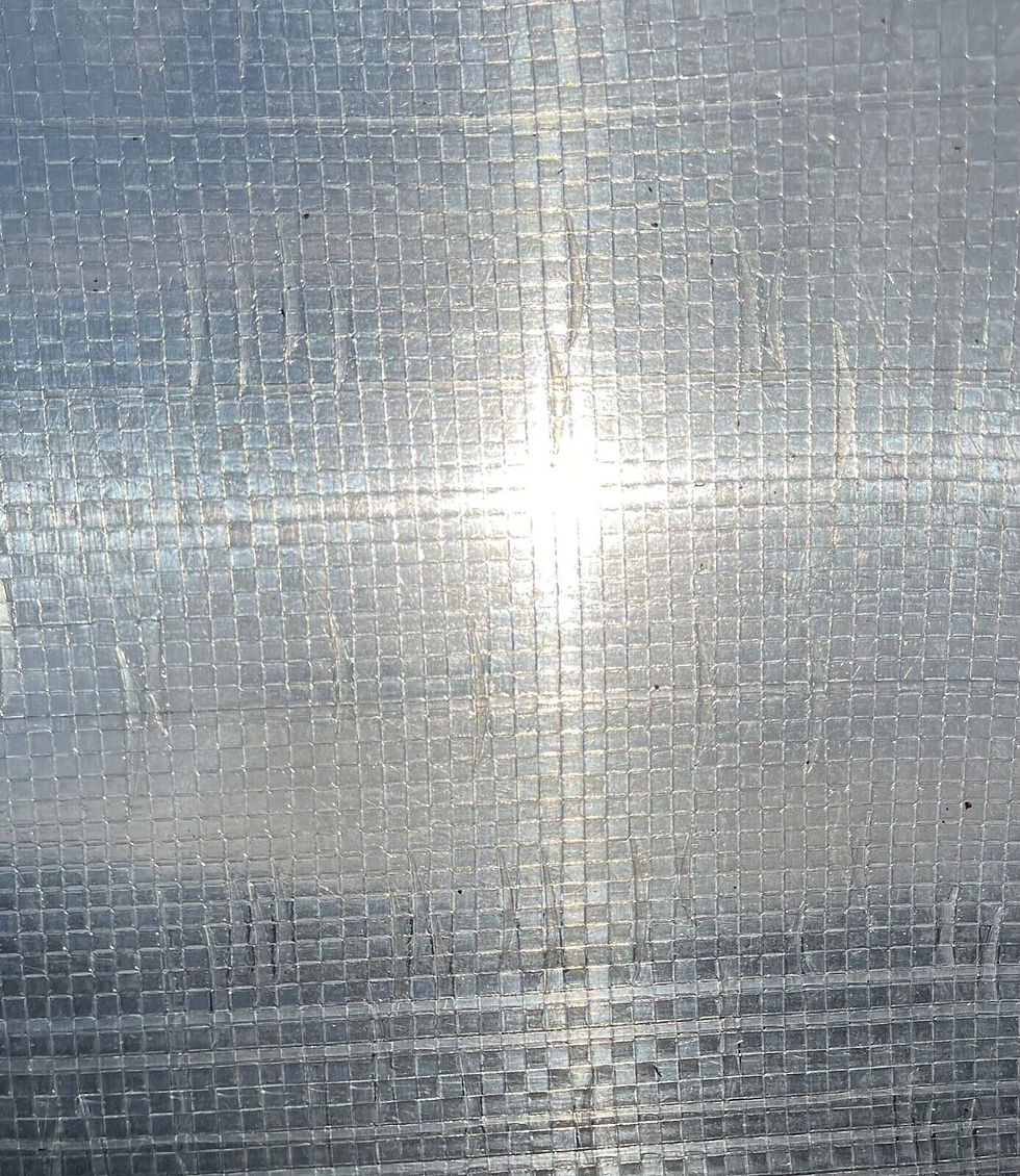 Thumbnail: 7 Mil Clear Reinforced Plastic Film