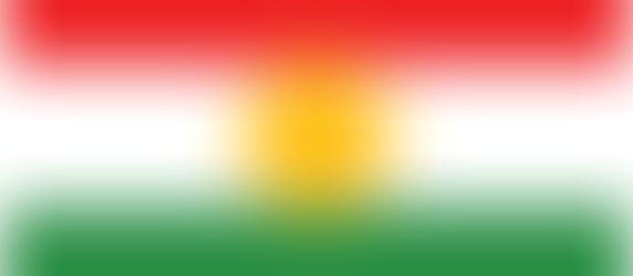 Il Rojava: origini, modello politico e possibili scenari