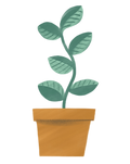 Plant_1-min.png