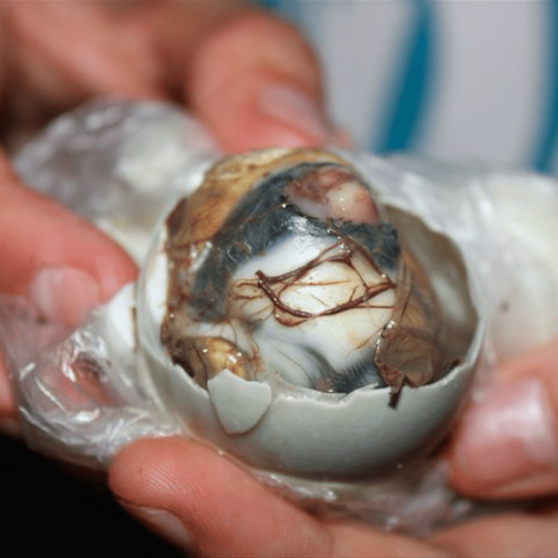 MGA  PAGKAING MAY KAKAIBANG HITSURA NGUNIT MASASARAP