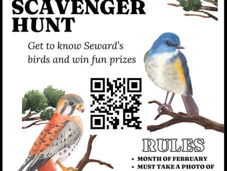 Seward Wild Bird Scavenger Hunt