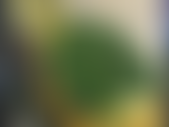 Project #4 Process Post