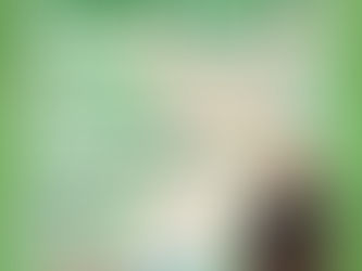 Exposição individual JORNADA DA ARTE