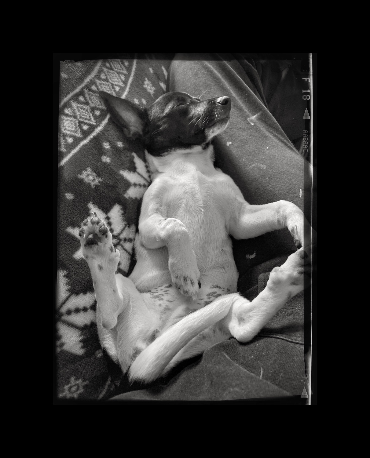 Writer: Julie Assmus(portrait example)