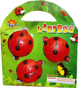 ladybug_edited.png