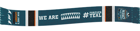 Teal Scarf.png
