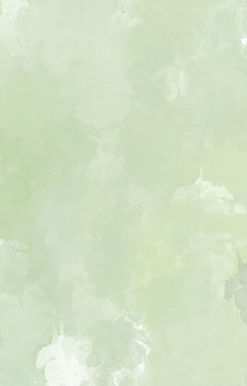 fundo textura 3.jpg