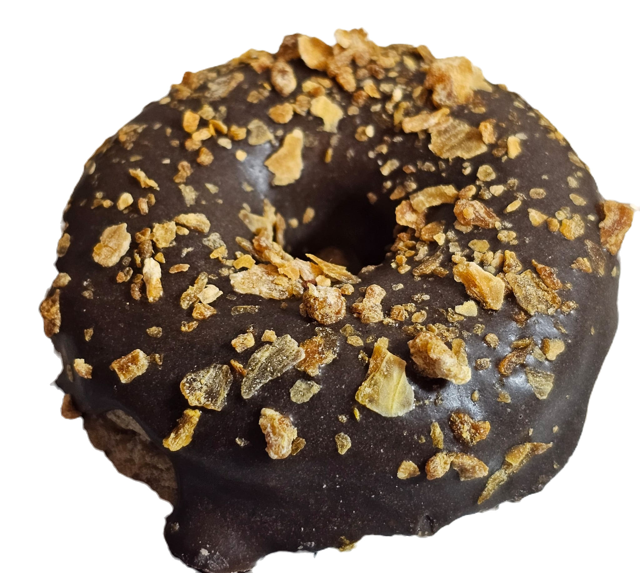 Dog Doughnut