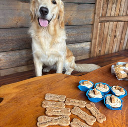 Golden retriever dog with baked dog treats on a wooden table.