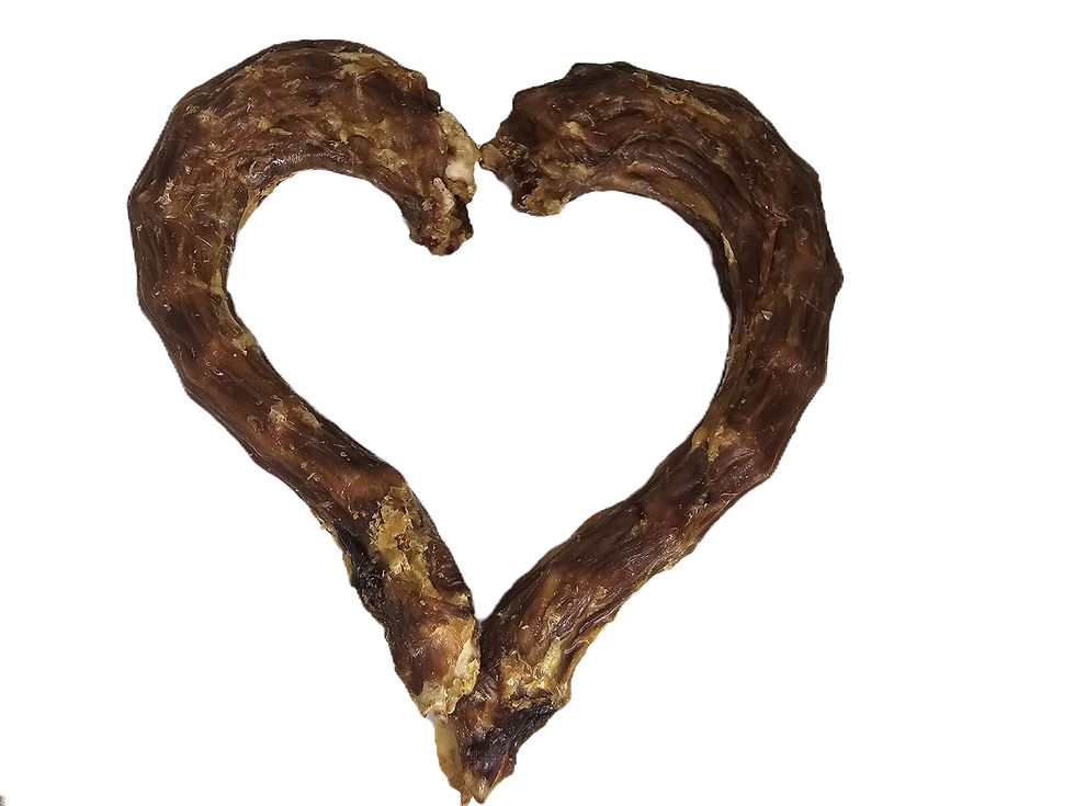 Turkey Necks