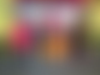 Экскурсия в Темясовски историко - краеведческий музей 