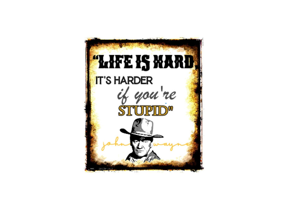 Thumbnail: John Wayne "Stupid" Decal
