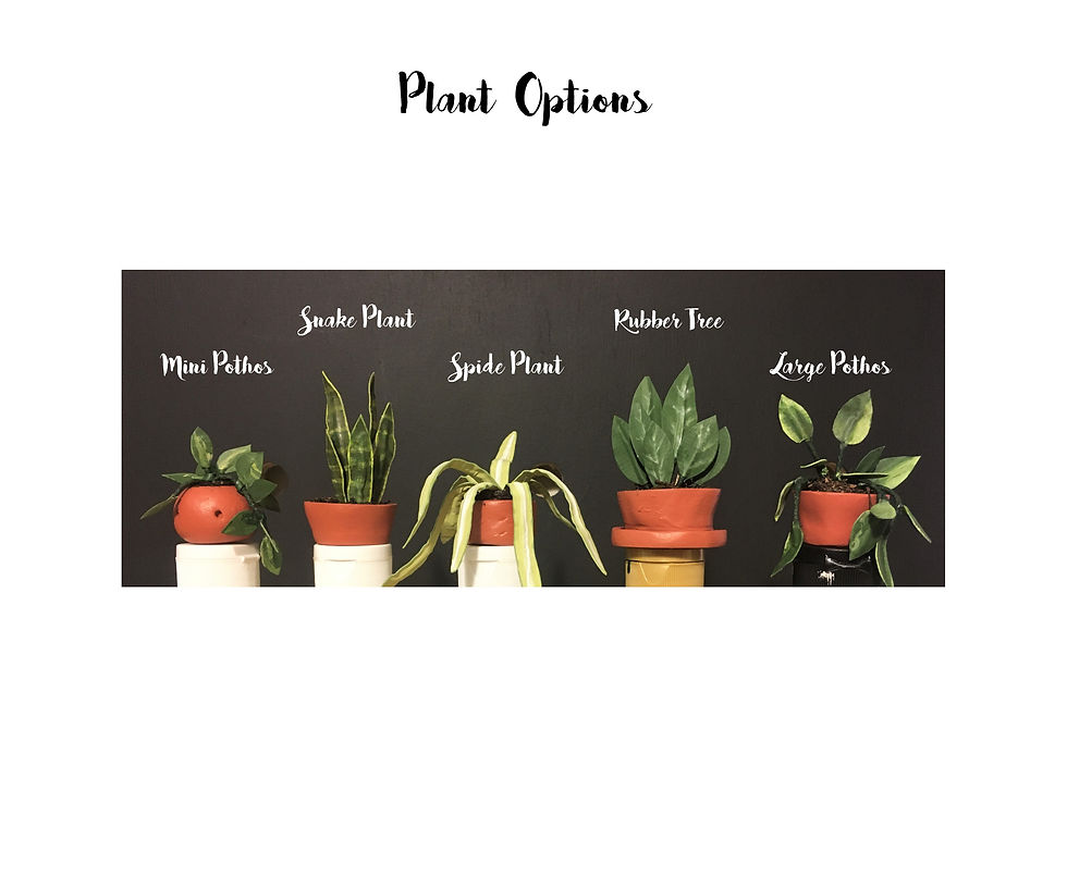 Thumbnail: Miniature Plant Hammock with Plant | Traditional