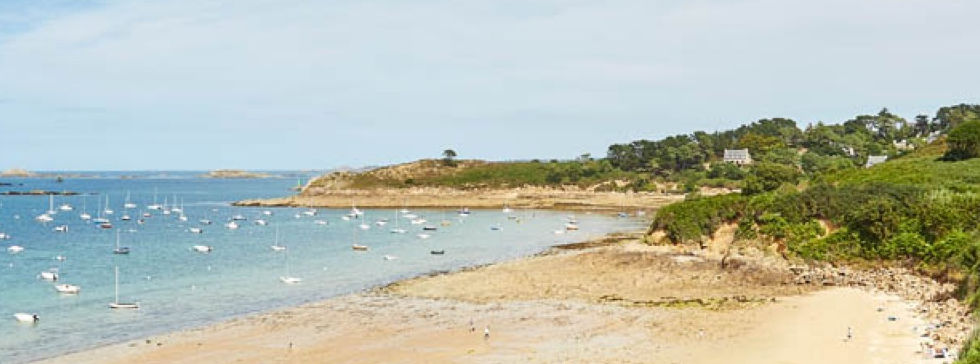 Plage-CoupdecoeurAL.jpeg