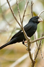 FKU_6626.JPG