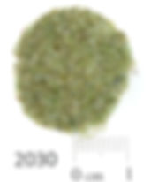 2030-Glass-700.jpg
