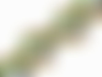 Translação do Conhecimento em Saúde: a prática que se transforma em conhecimento e ciência e a ciênc