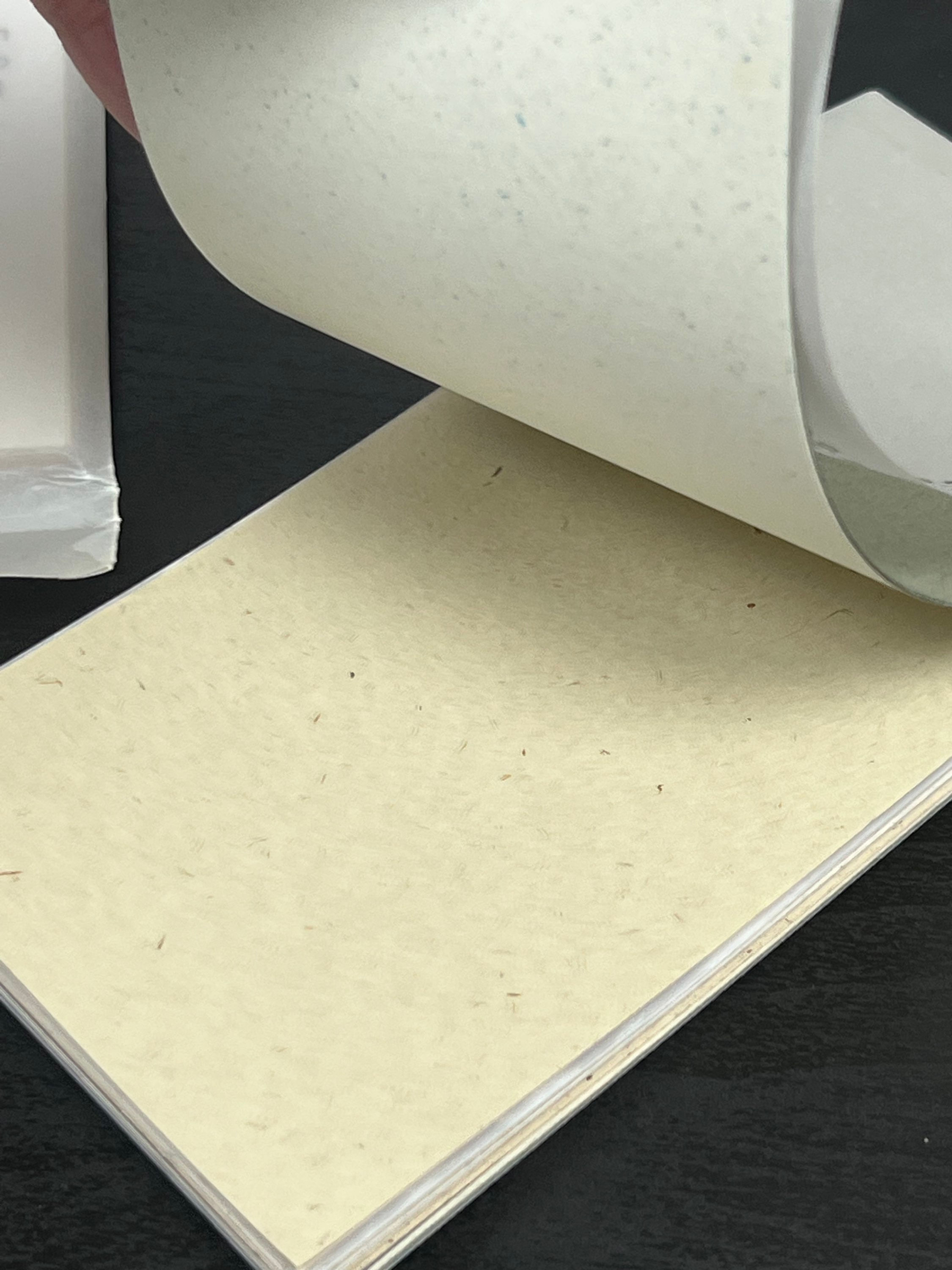 Waste not paper pad (2) By the beach