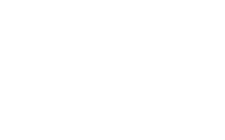 Logo Icon Negative.png