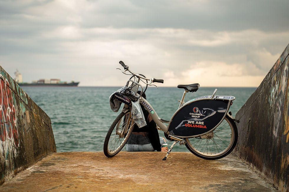bike sharing rental for tourist by the seat