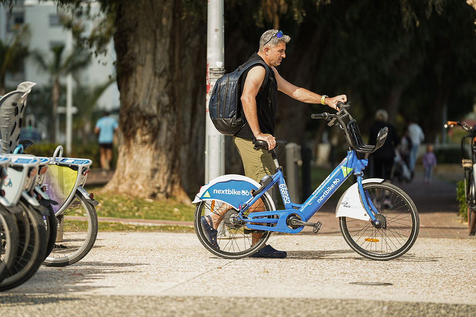 nextbike rental