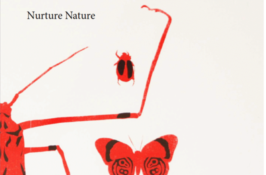 Ilustrations.gif