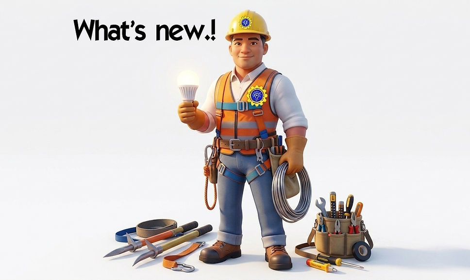LINEMAN WEB.jpg