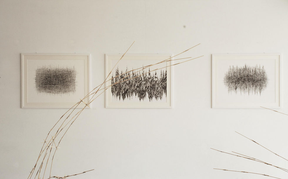 Construction practice I,II,III