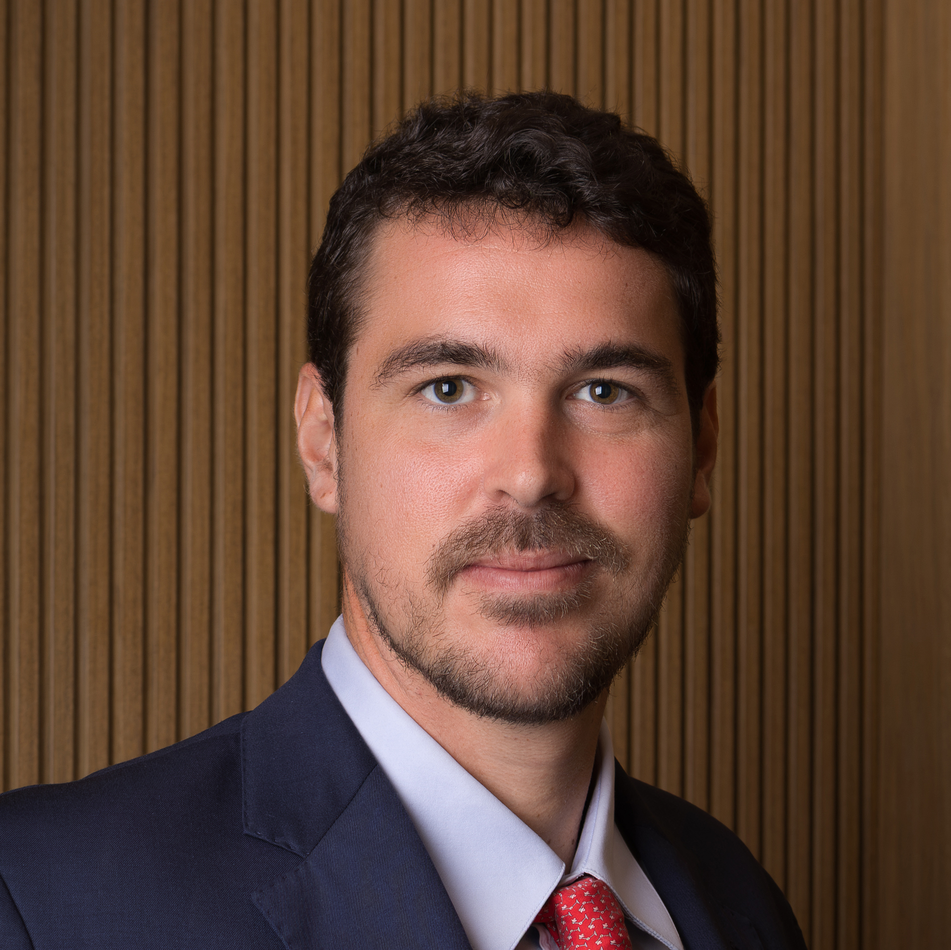 Francisco Viegas.gif