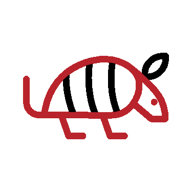 armadillo.gif