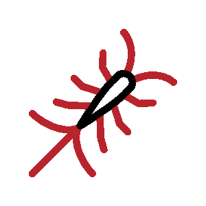 Silverfish pest control services