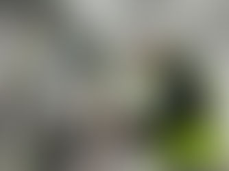 Dutyholder Responsibilities Explained