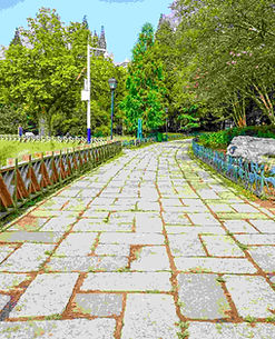 beautiful-park.jpg